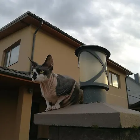 Oskar House شقة *